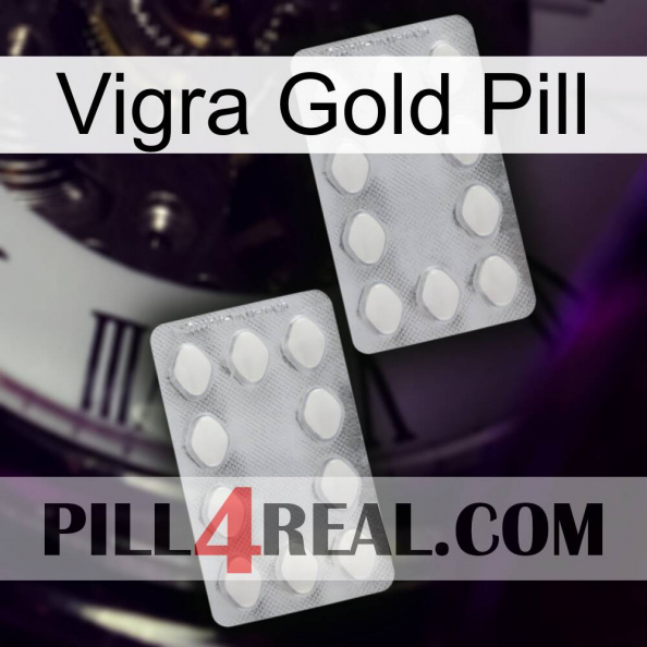 Vigra Gold Pill 17.jpg